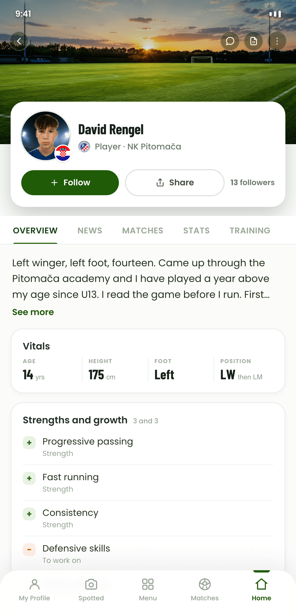 Player profiles
